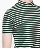 Striped Short Sleeve Tshirt